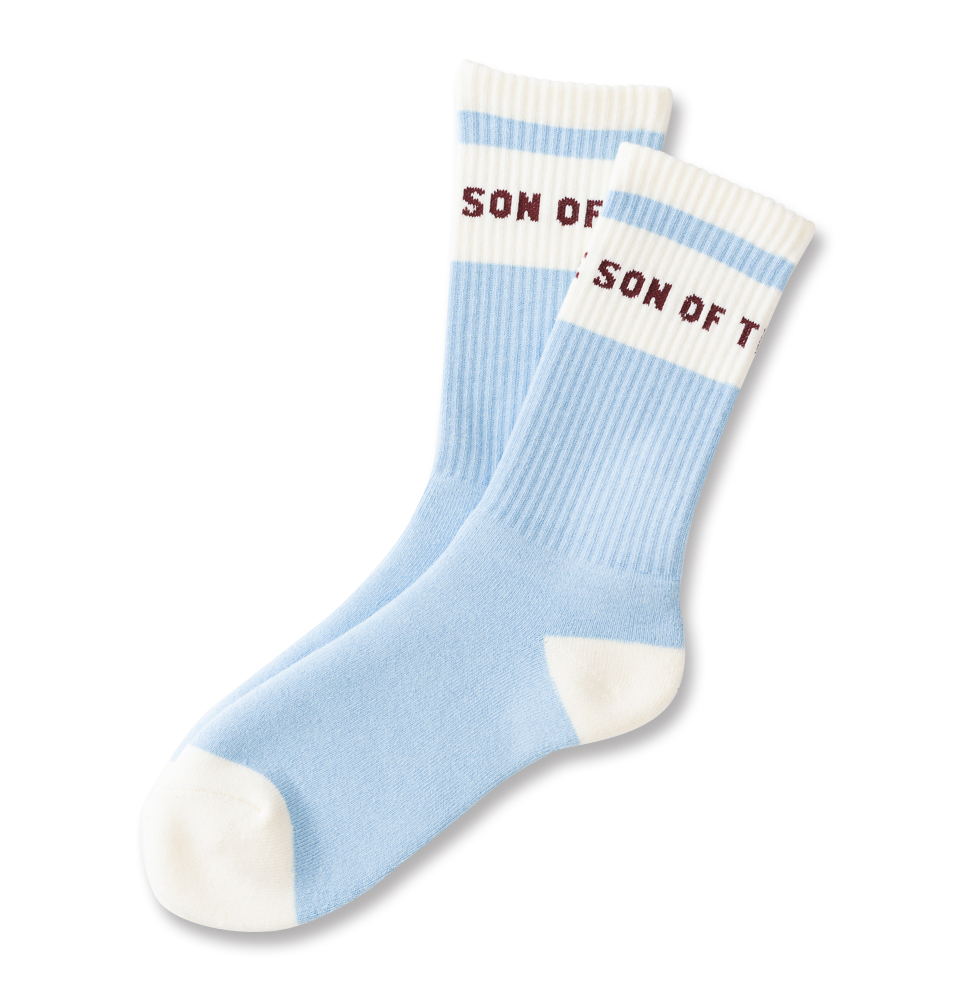 SON OF THE CHEESE POOL SOX
